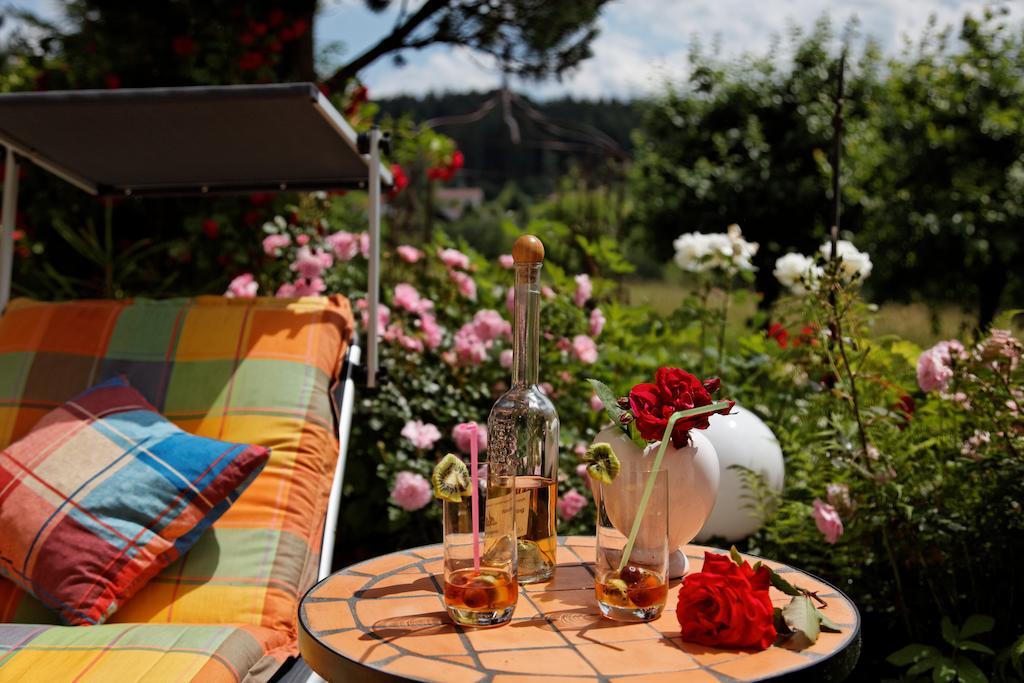 Apartment Wohlfuehl-ferienwohnungen Kirchberger Bodenmais